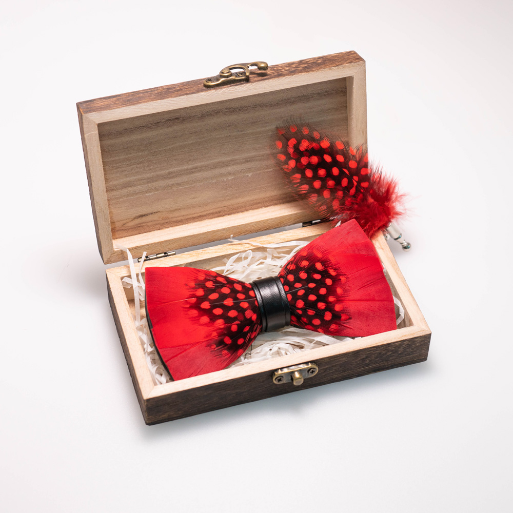 EASTEPIC Handmade Feather Bow  - Neck Tie Set Box recension och pris
